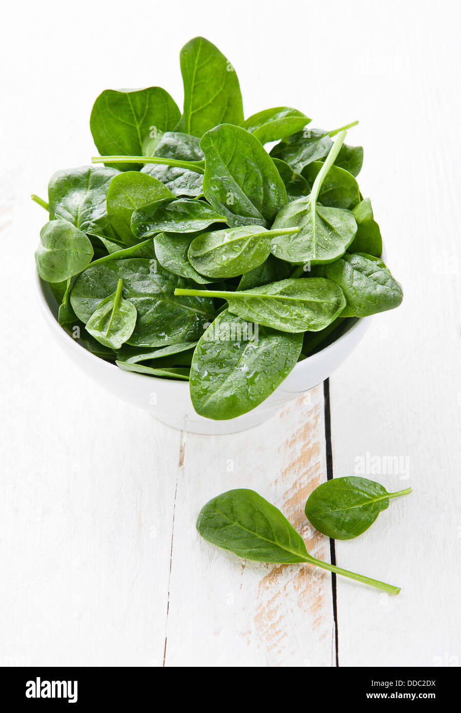 Giovani gli spinaci nel recipiente bianco Foto Stock