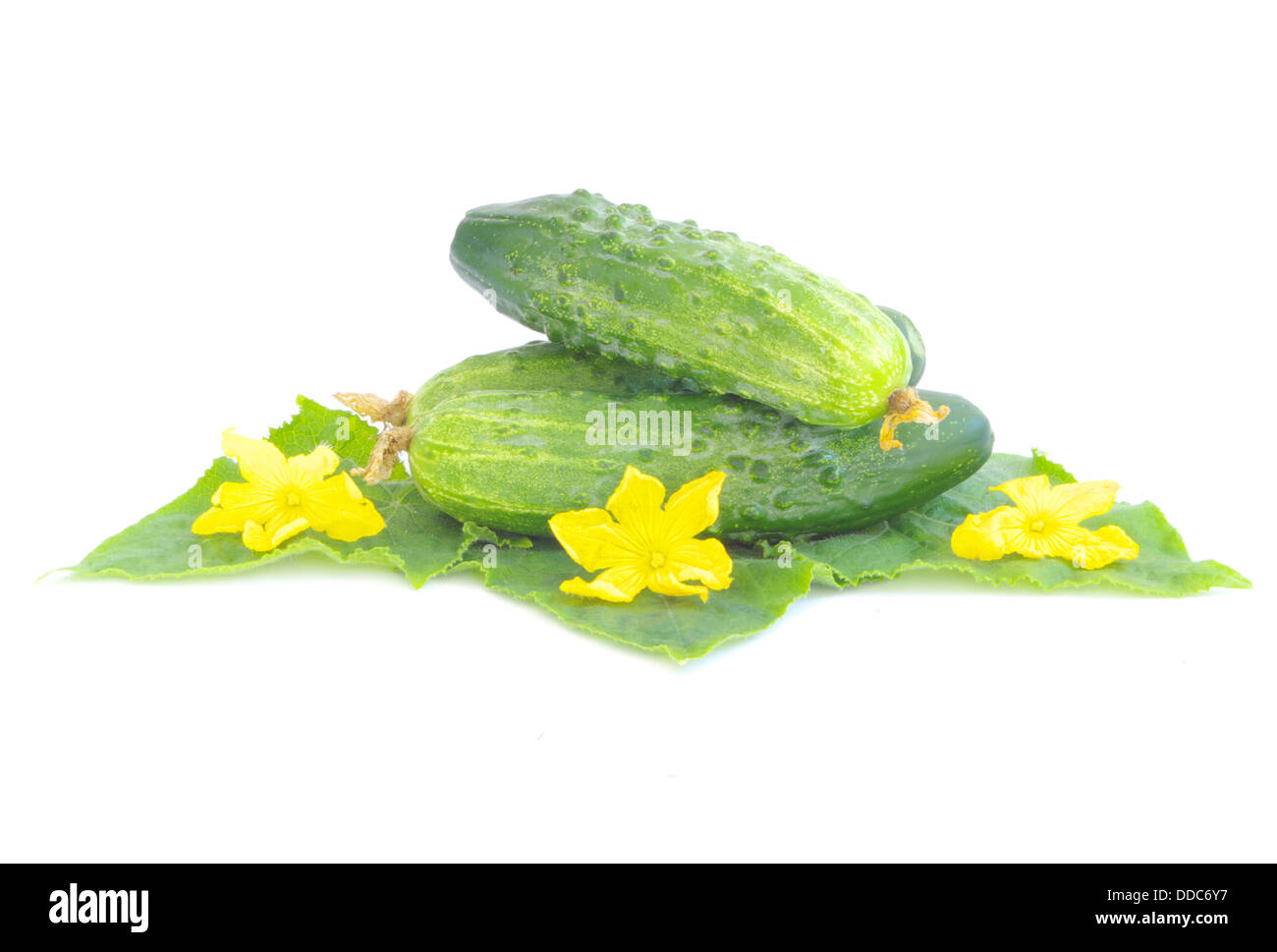 I cetrioli Foto Stock