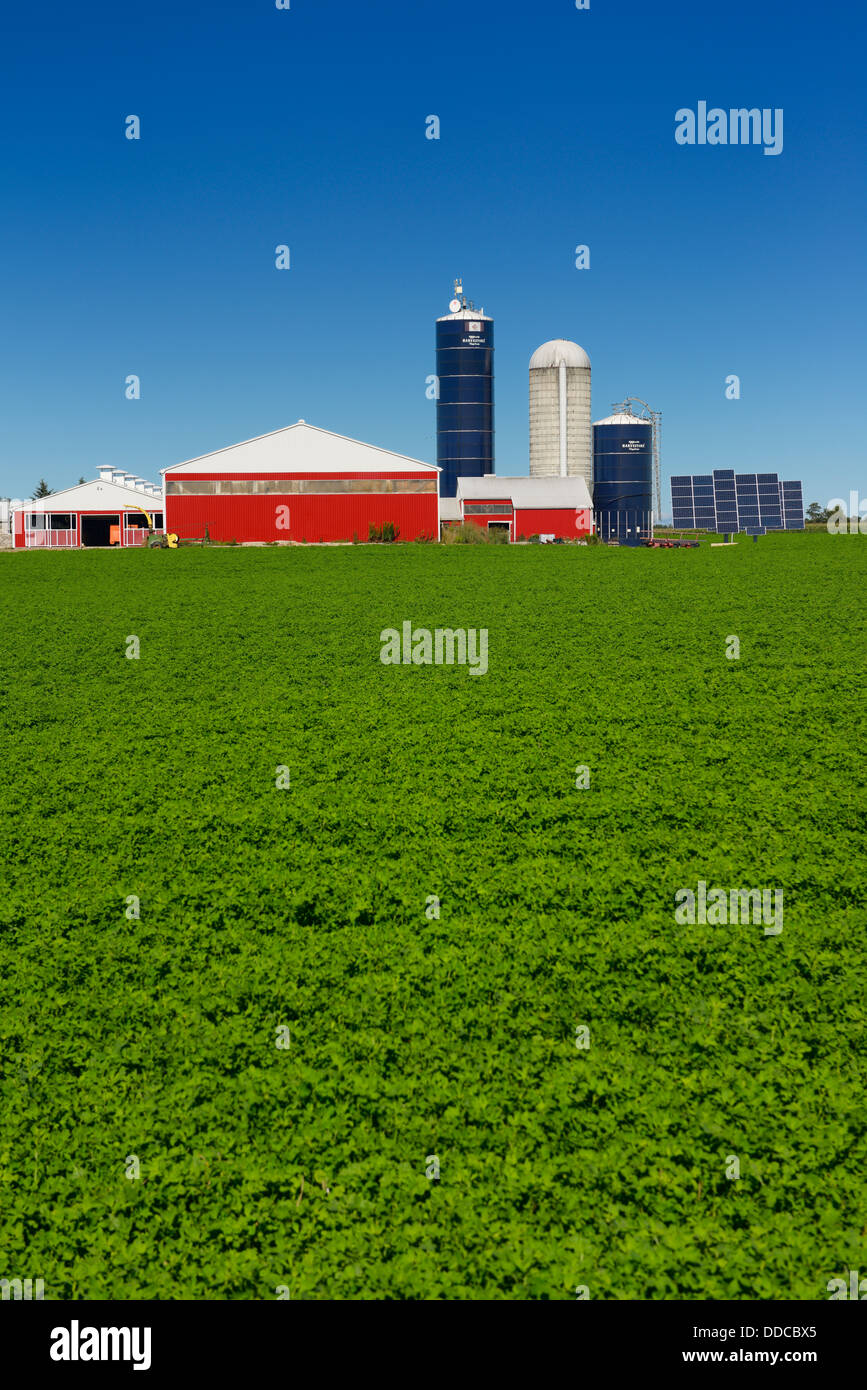 Pannelli solari e silos con red granai su un campo di fattoria piantati con fagioli di soia e cielo blu chiaro Ontario Canada Foto Stock