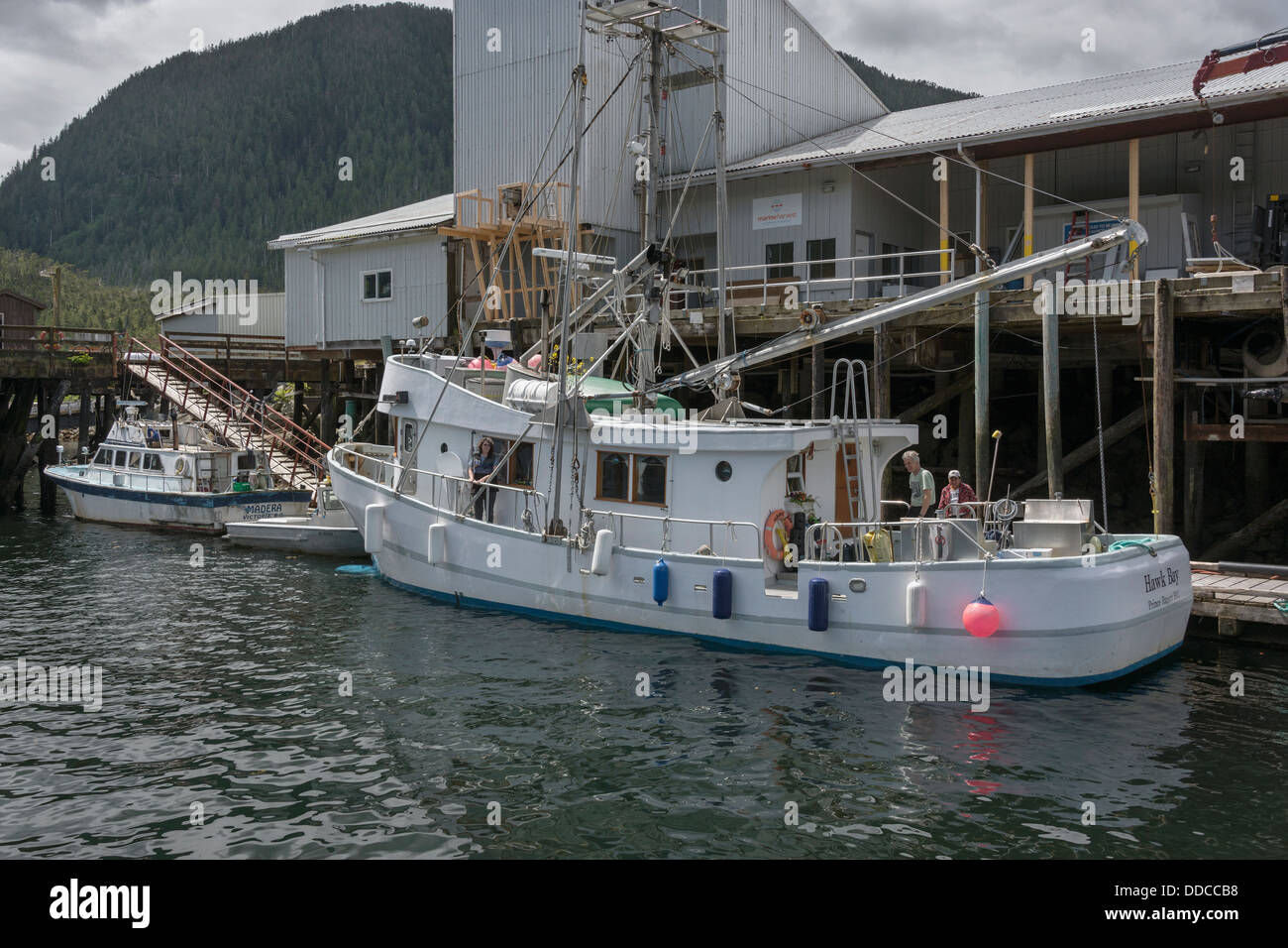 Wharf a Klemtu, truffa Isola, mid-coast British Columbia Foto Stock