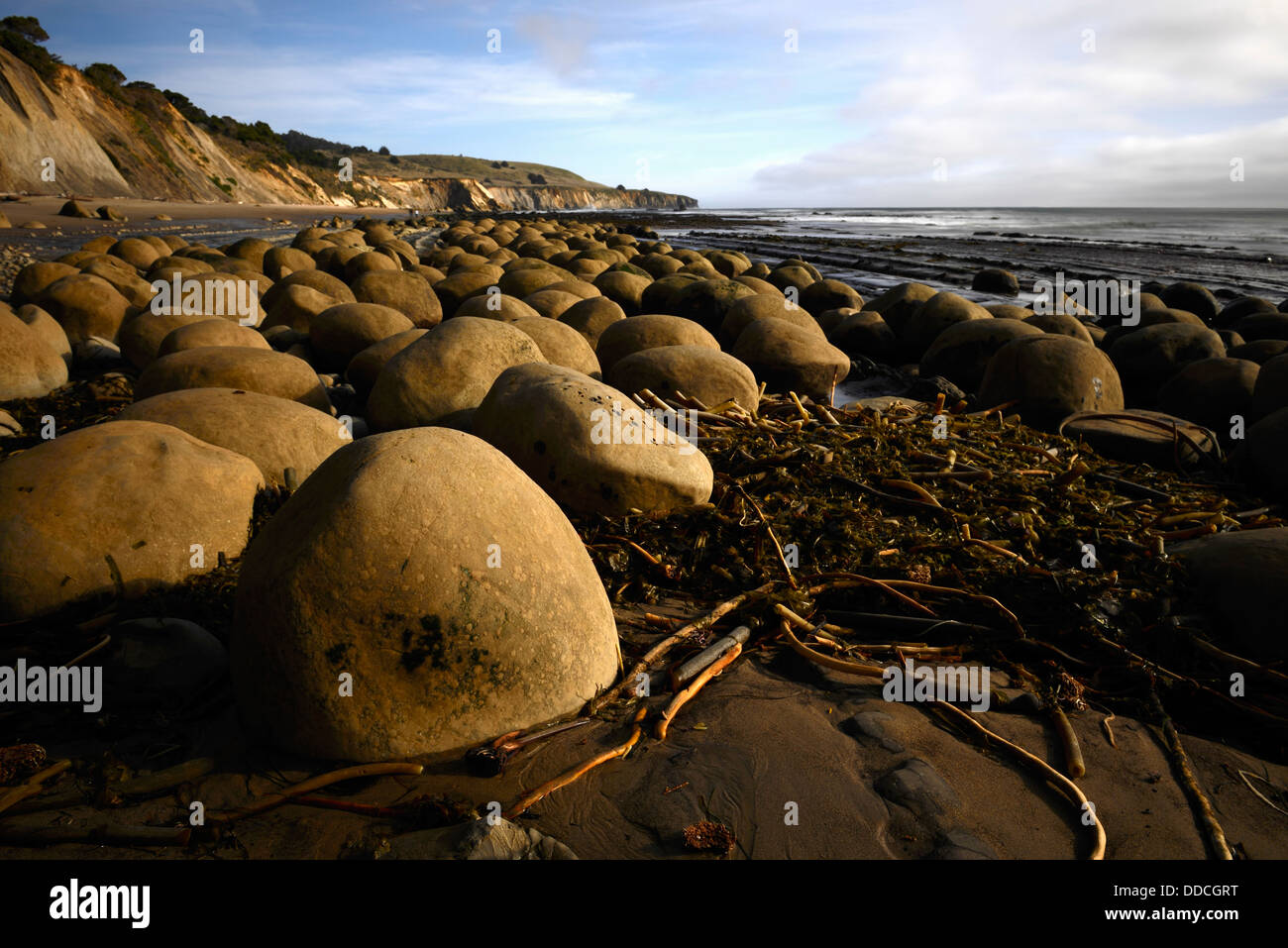Rotondo a forma di uovo massi a palla da bowling Beach goletta punto Gulch Arena California USA Pacific Coast ocean Foto Stock