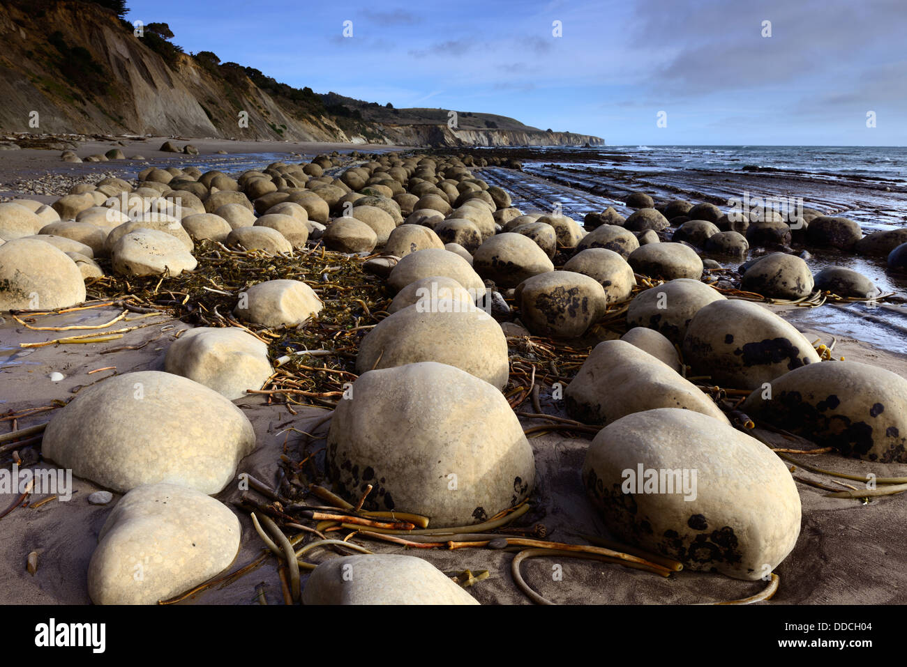 Rotondo a forma di uovo massi a palla da bowling Beach goletta punto Gulch Arena California USA Pacific Coast ocean Foto Stock