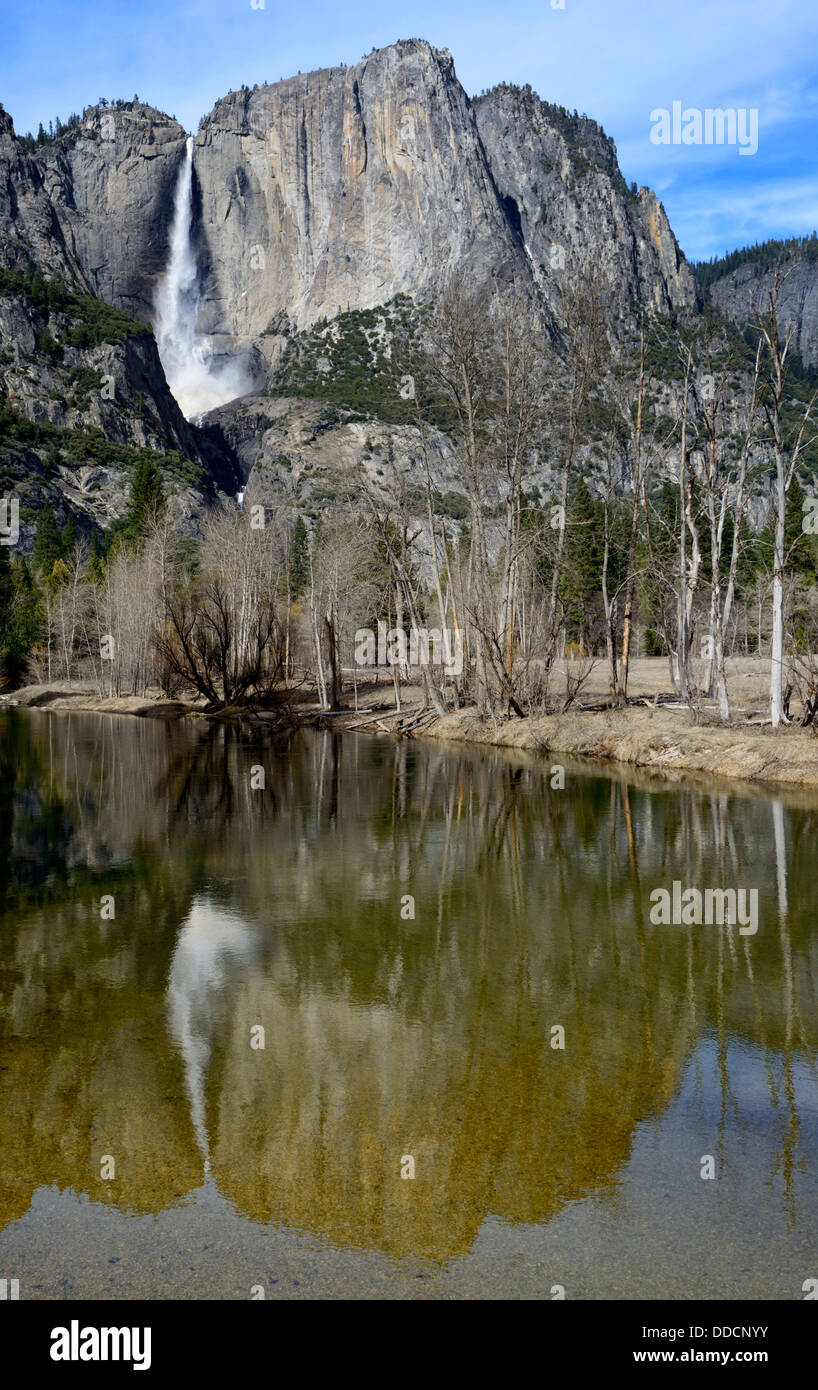 Superiore e inferiore di Yosemite Falls cascate wispy aspetto il parco nazionale di Yosemite riflessione riflessa Merced River Foto Stock
