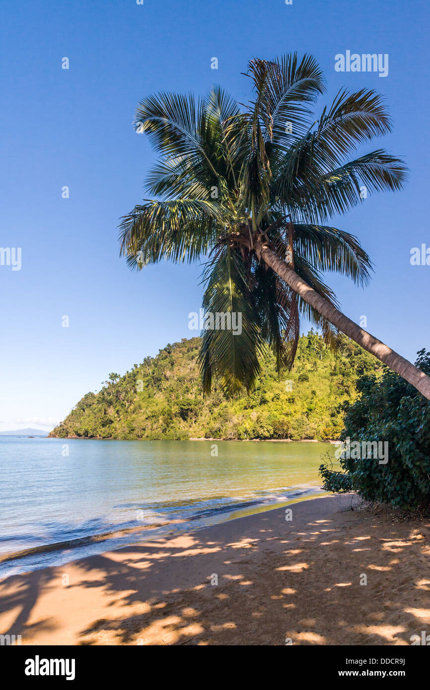 Spiaggia tropicale e vegetazione lussureggiante isola di Nosy Be, Madagascar settentrionale Foto Stock