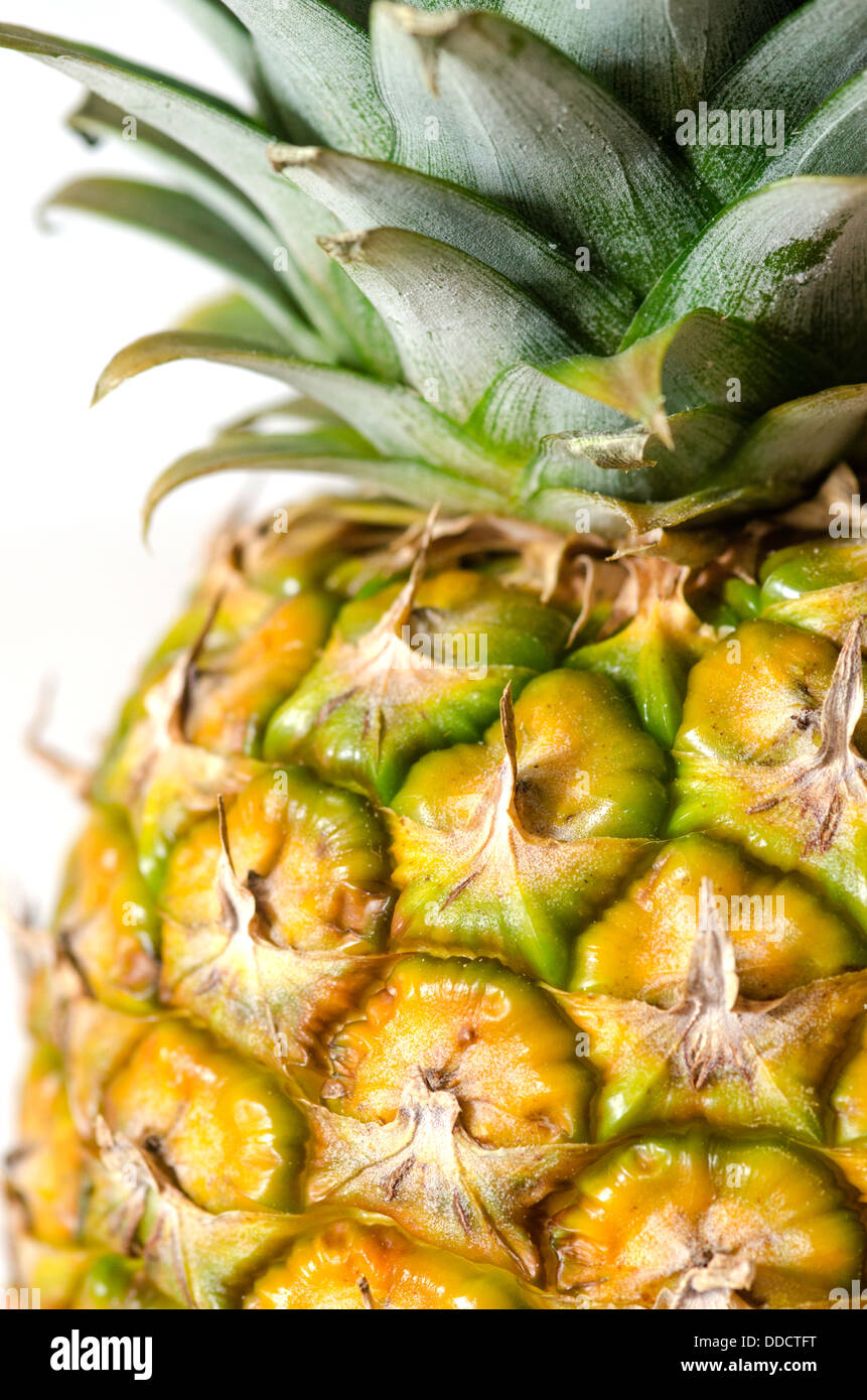 Fotografia di un ananas che mostra i colori e texture della pelle e foglie. Foto Stock