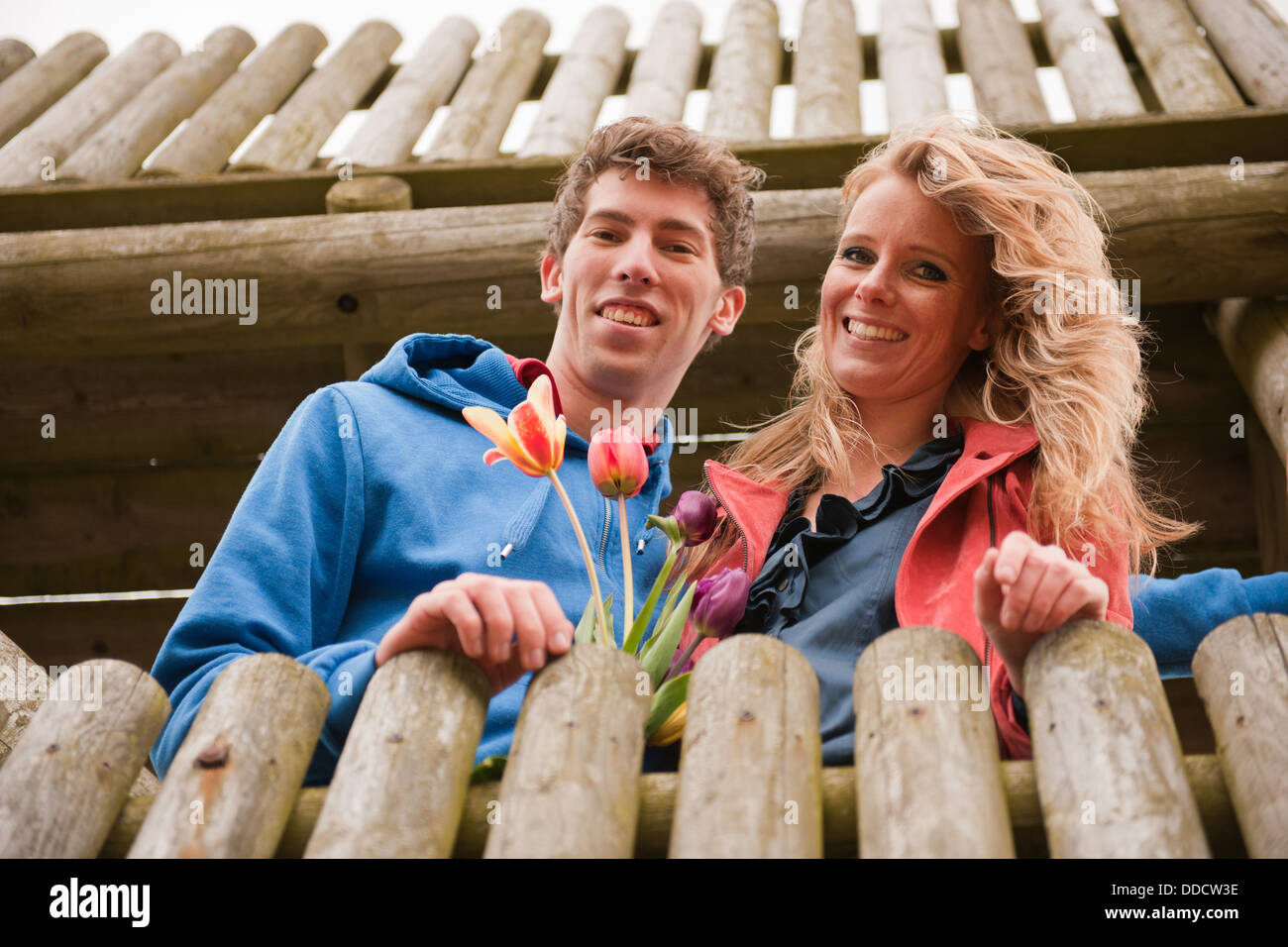 Matura in olandese capanna di osservazione Foto Stock