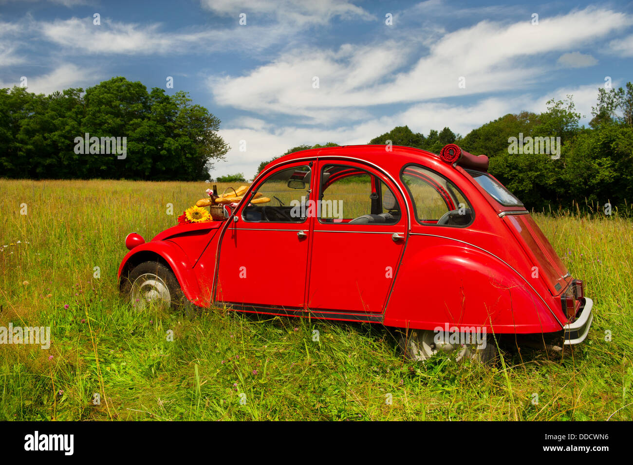 Automobile francese Foto Stock