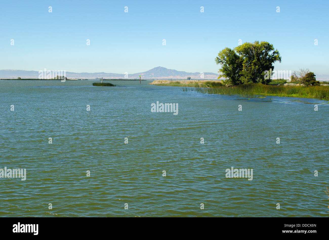 Il San Joaquin River, Brannan Isola del Delta Foto Stock