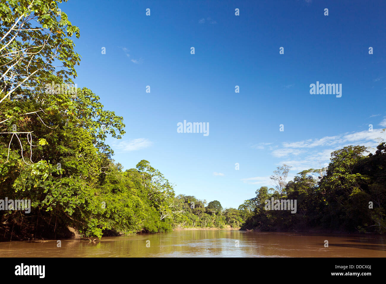 Fiume amazzonico, il Rio Cononaco in Ecuador Foto Stock