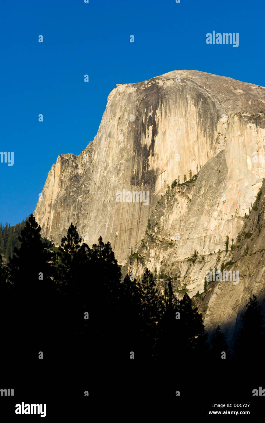 Mezza Cupola incandescente nella luce della sera. Parco Nazionale di Yosemite in California, Stati Uniti d'America. Foto Stock