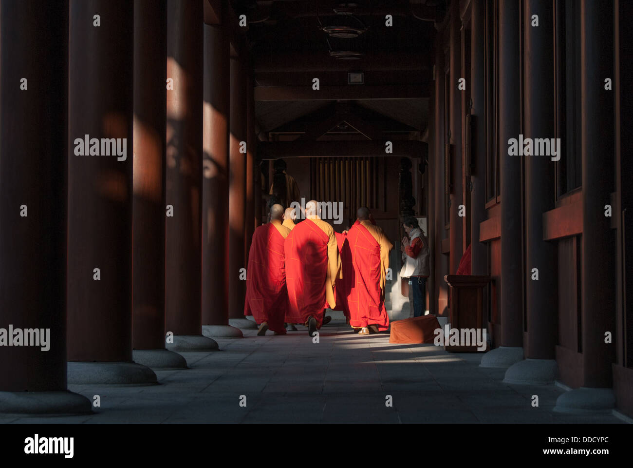 I monaci buddisti pregano sulla sera cerimonia di culto nel tempio, Hong Kong Foto Stock