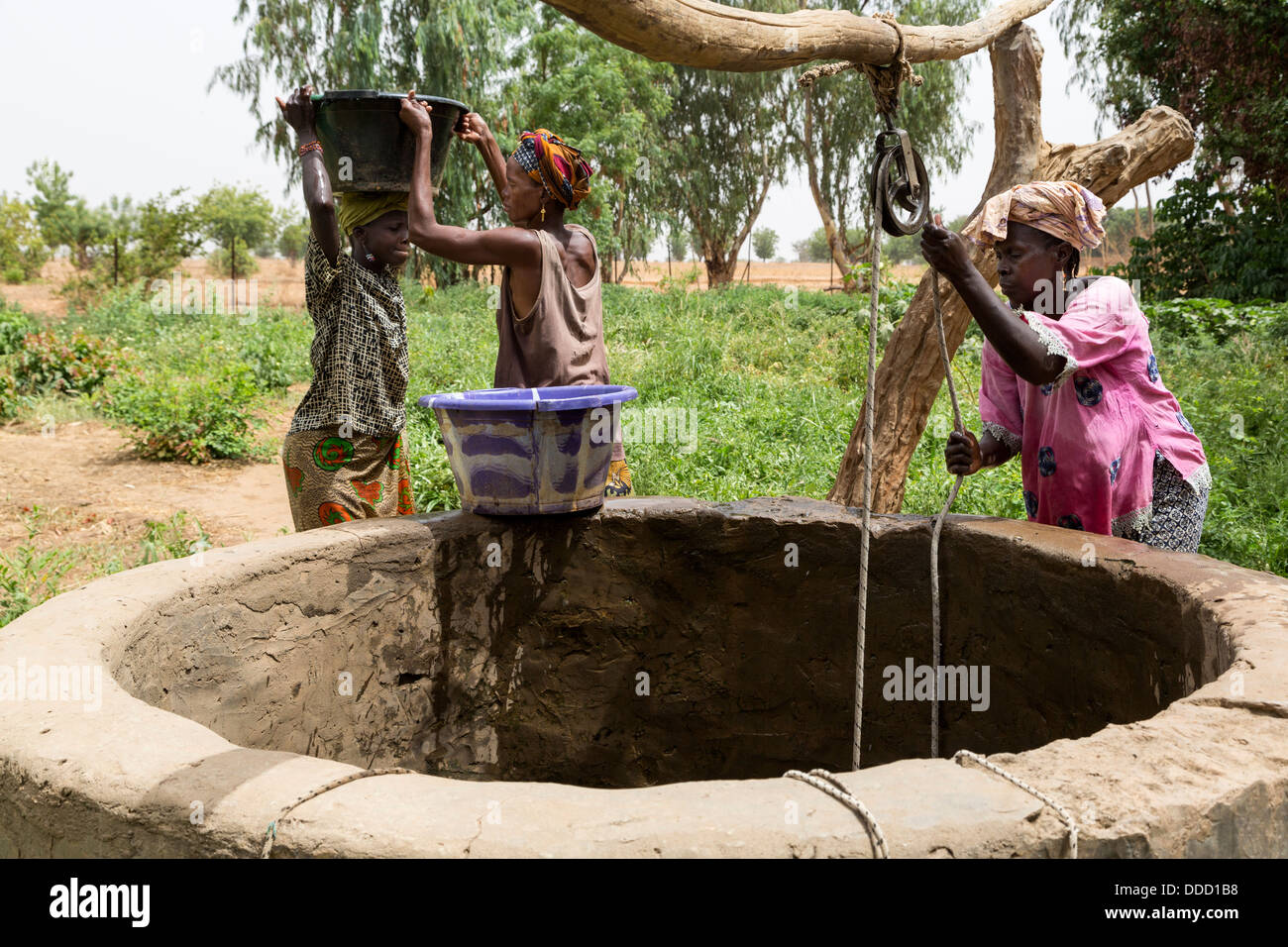 Il Wolof donne il prelievo di acqua dal pozzo per irrigare Orto. Dialacouna progetto giardinaggio, vicino a Kaolack, Senegal. Un progetto Africare. Foto Stock