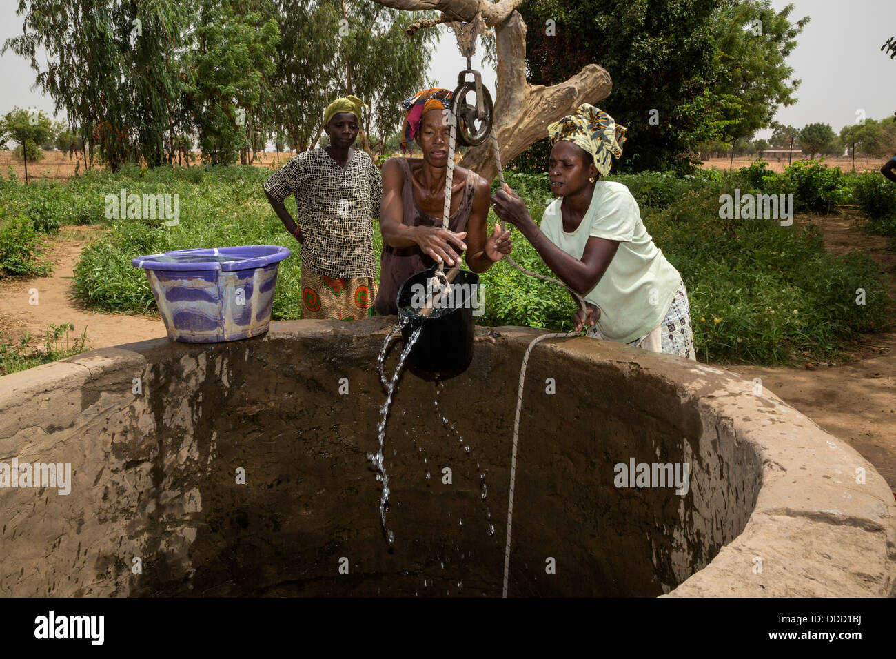 Il Wolof donne il prelievo di acqua dal pozzo per irrigare Orto. Dialacouna progetto giardinaggio, vicino a Kaolack, Senegal. Un progetto Africare. Foto Stock