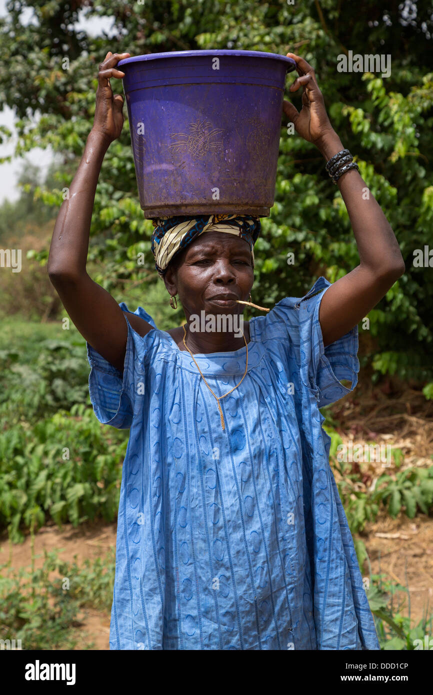 Il Wolof donna portando acqua sulla testa di ortaggi dell'acqua. Dialacouna progetto giardinaggio, vicino a Kaolack, Senegal. Un progetto Africare Foto Stock