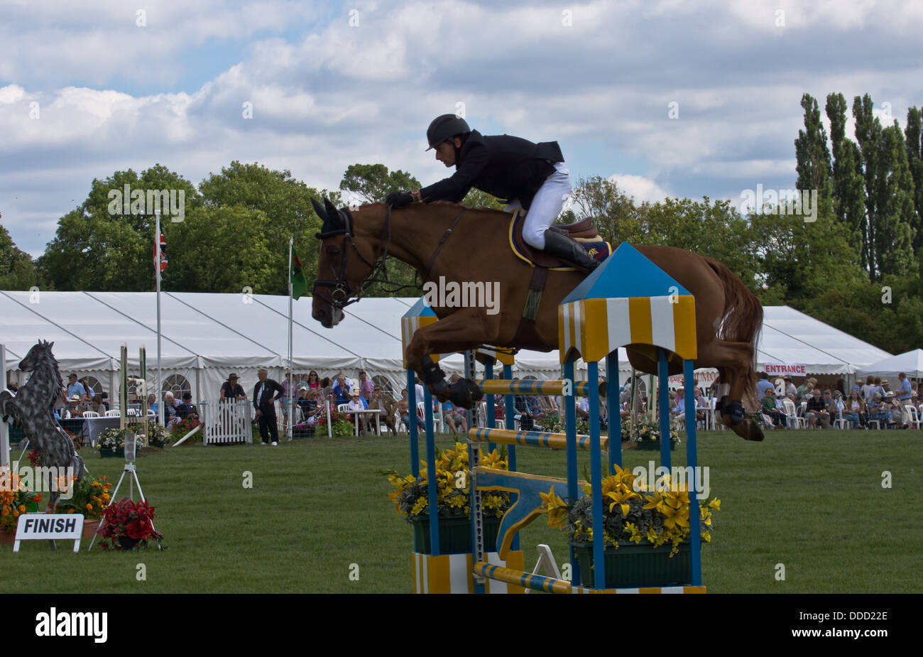 Equestrian horse show jumping a Weedon Buck's County show. Un cavaliere saltando una recinzione. Foto Stock