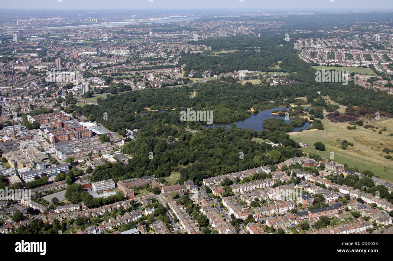 Vista Aerea della Foresta di Epping a nord-est di Londra Foto Stock