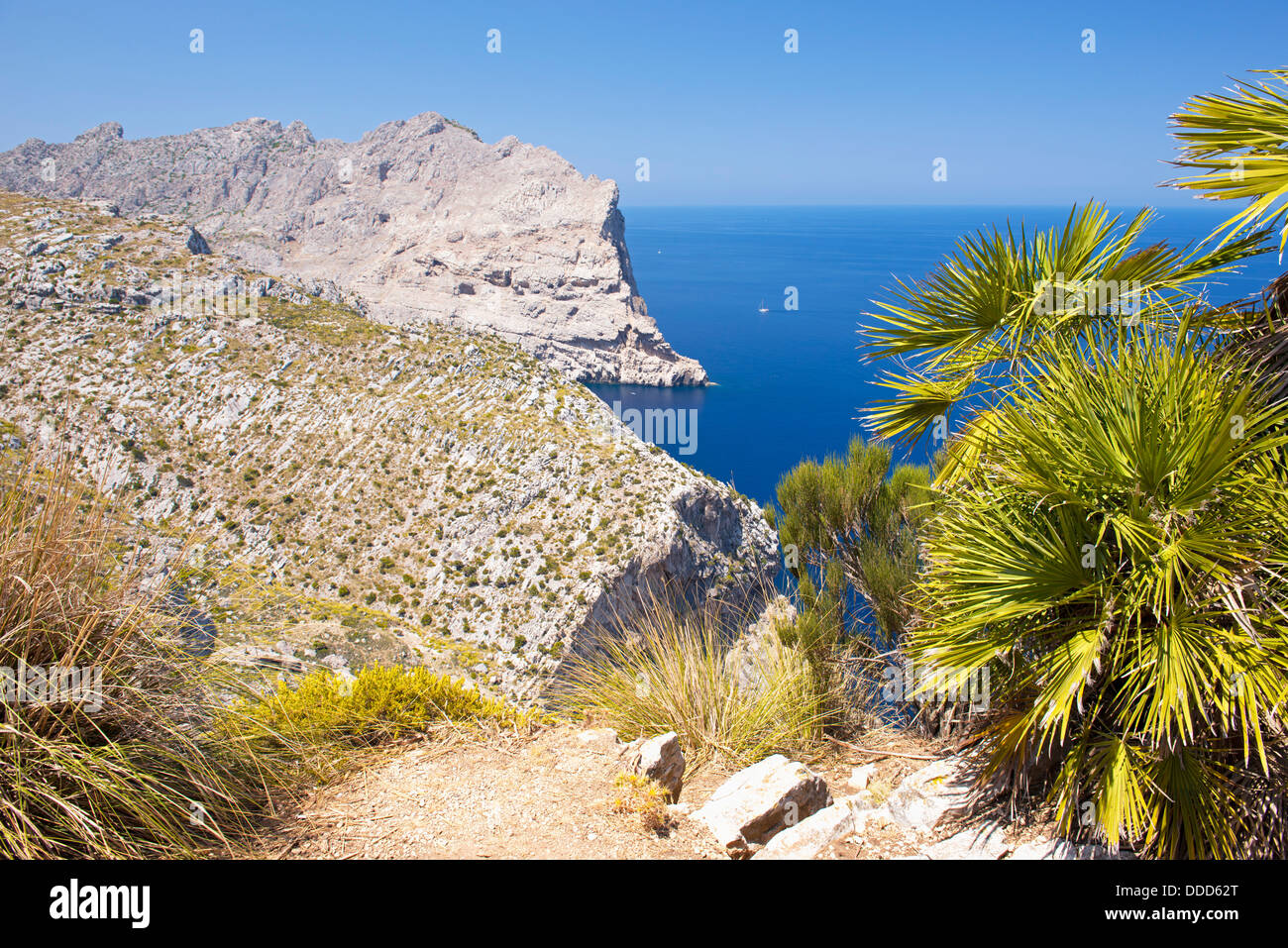 Capo Formentor nella costa nord di Mallorca, Spagna ( Isole Baleari ) Foto Stock