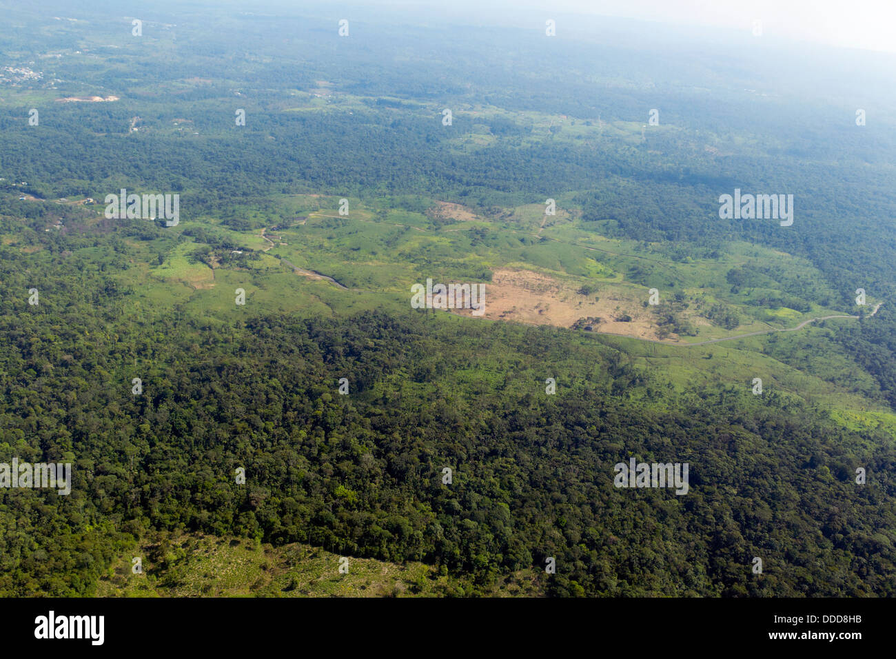 Ex foresta pluviale tropicale nella provincia di Pastaza, Ecuador cancellata per il pascolo del bestiame e agricoltura dall'aria Foto Stock
