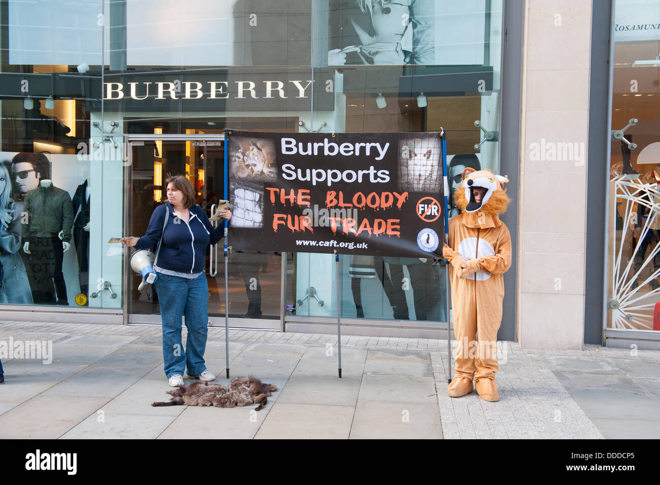 Coalizione per abolire il commercio di pellicce membri protestare fuori burberry shop nella zona centrale di Manchester, Regno Unito 31 agosto 2013 Foto Stock