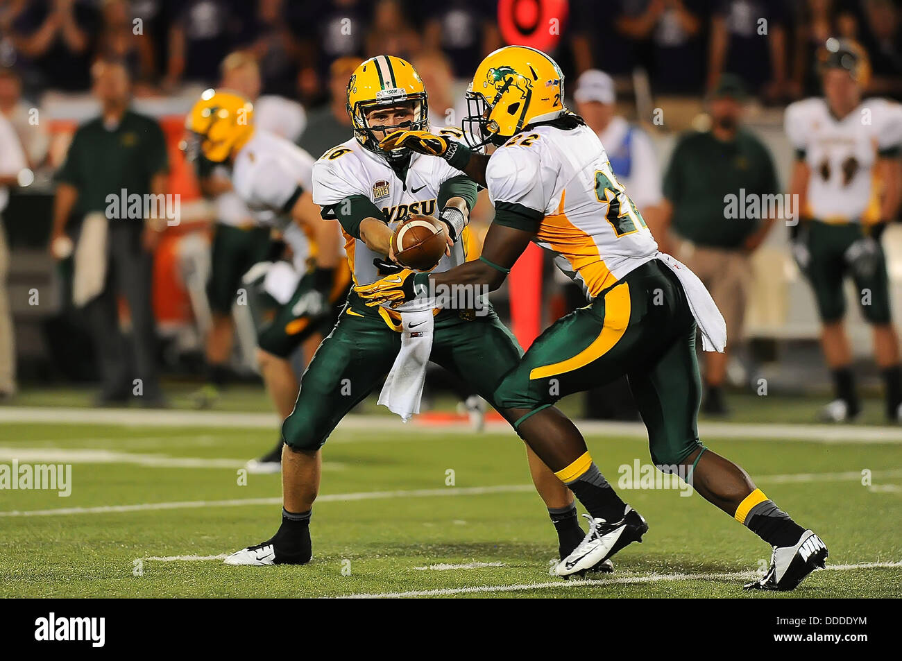 Manhattan Kansas, Stati Uniti d'America. Il 30 agosto, 2013. Agosto 30,2013:North Dakota State Bison quarterback Brock Jensen #16 mani di North Dakota State Bison running back Sam Ojuri #22 in azione durante il NCAA Football gioco tra Nord Dakota State e Kansas membro; a Bill Snyder famiglia Stadium di Manhattan, Kansas. Kendall Shaw/CSM/Alamy Live News Foto Stock