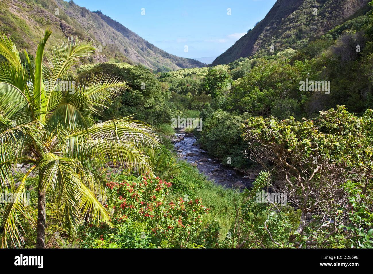 Vista di Maui "lussureggiante Iao Valley Foto Stock