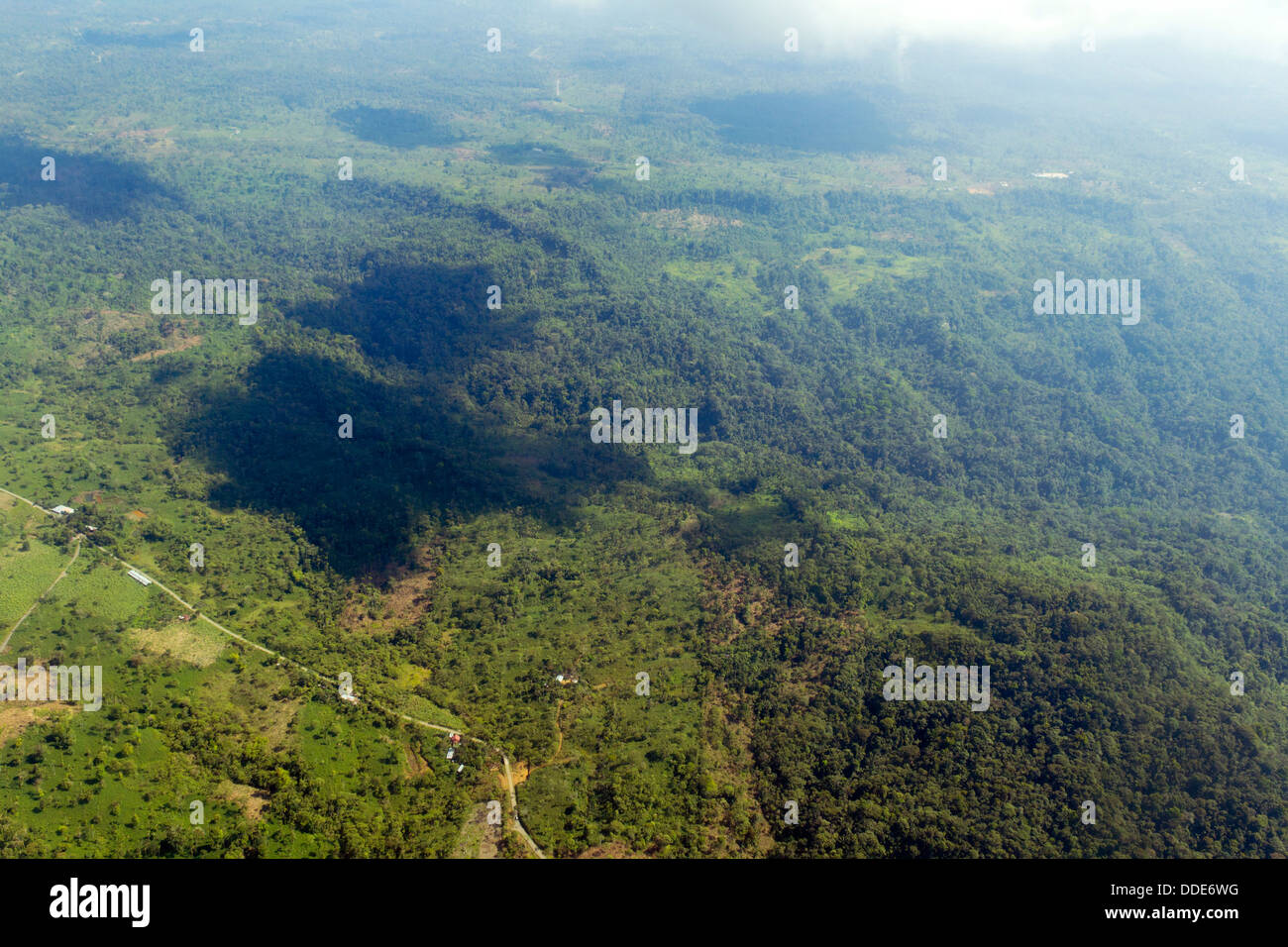 Ex foresta pluviale tropicale nella provincia di Pastaza, Ecuador cancellata per il pascolo del bestiame e agricoltura dall'aria Foto Stock