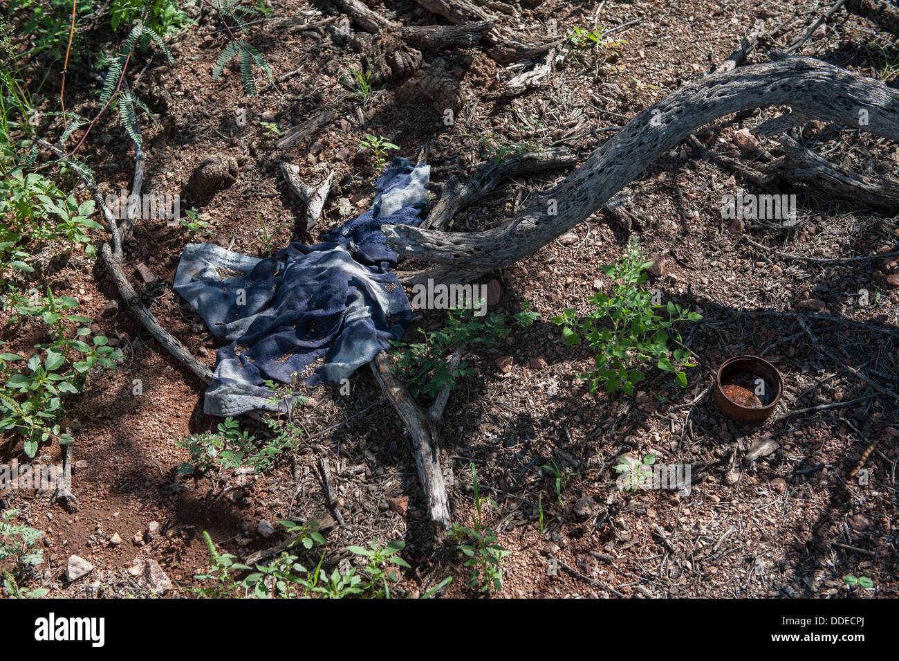 Agosto 31, 2013 - Tubac, Arizona, Stati Uniti - le erbe infestanti che sono cresciuti in durante la stagione dei monsoni oscurare una camicia scartati lungo un sentiero di migranti in Tumacacori montagne vicino Tubac, Ariz. Il sentiero è in grado di congelare durante la notte in inverno, raggiungere ben in triple-digit temperature (Fahrenheit) e l'estate è caldo e umido durante la stagione di monsoni. Abbandonate le lattine per conserve lungo il sentiero sono comunemente fissato in posizione verticale per raccogliere acqua per gli altri a piedi attraverso il deserto. (Credito Immagine: © sarà Seberger/ZUMAPRESS.com) Foto Stock
