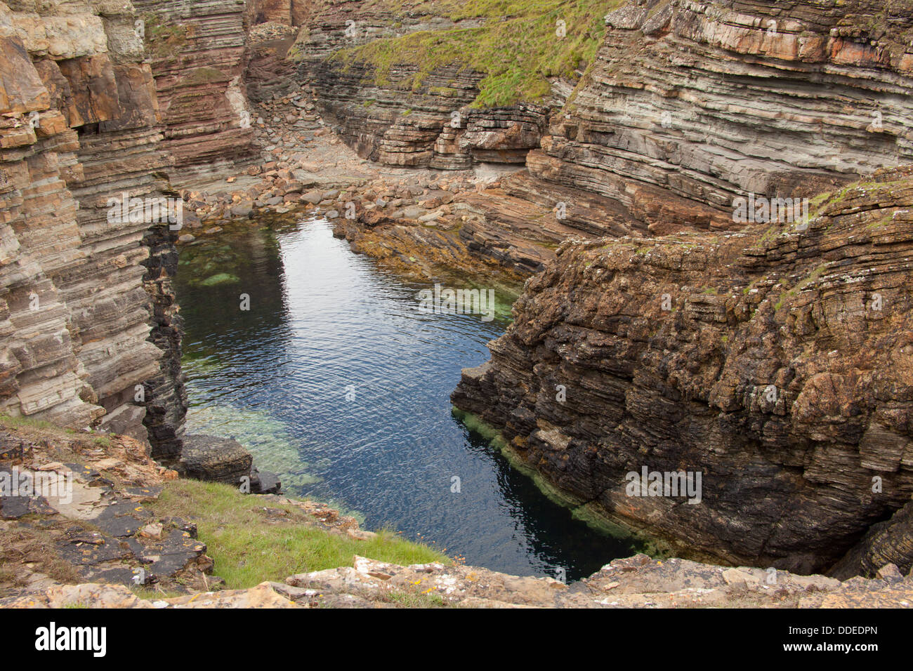 Costa frastagliata, Mull Testa, Deerness, isole Orcadi Scozia, Regno Unito Foto Stock