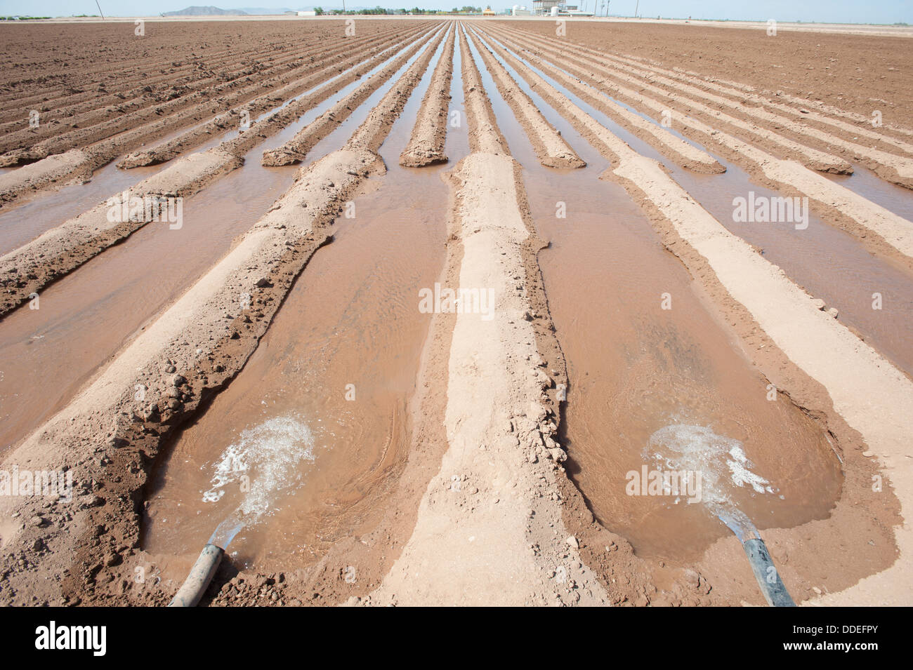 Impianto di irrigazione Foto Stock