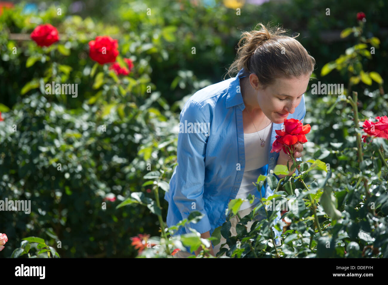 Giovane donna di fiori profumati Foto Stock