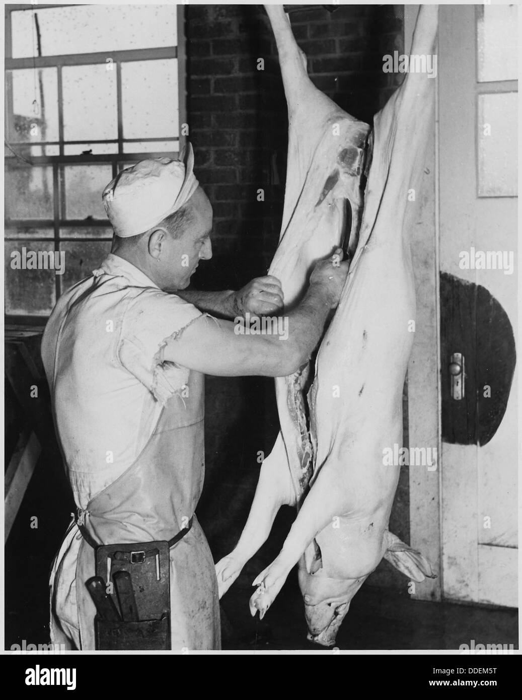 Nella contea di Newberry, South Carolina, i lavoratori della P and M Packing Company trattano i maiali come parte delle loro operazioni di imballaggio della carne. Questa immagine cattura una pratica agricola comune nella metà del XX secolo, che riflette il ruolo della regione nella produzione e trasformazione alimentare. Foto Stock