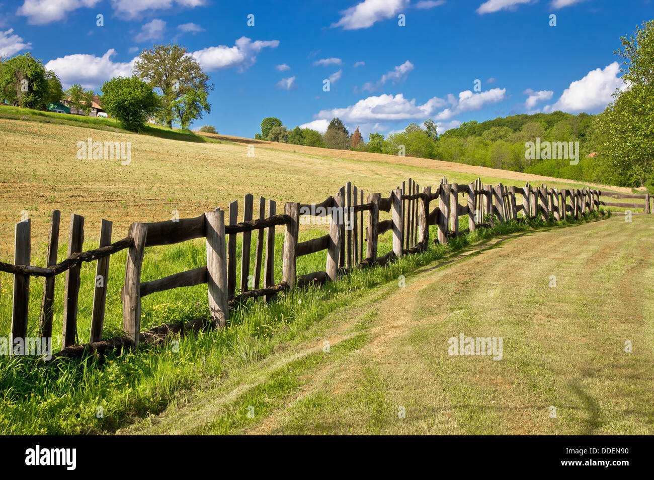 Staccionata in legno nel paesaggio verde sotto il cielo blu Foto Stock