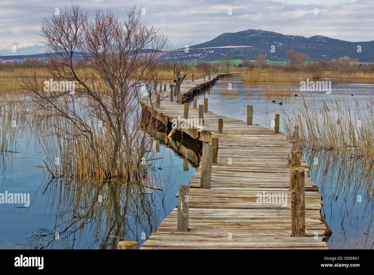 Lago di Vrana nature park passerella in legno di osservatorio ornitologico, Dalmazia, Croazia Foto Stock