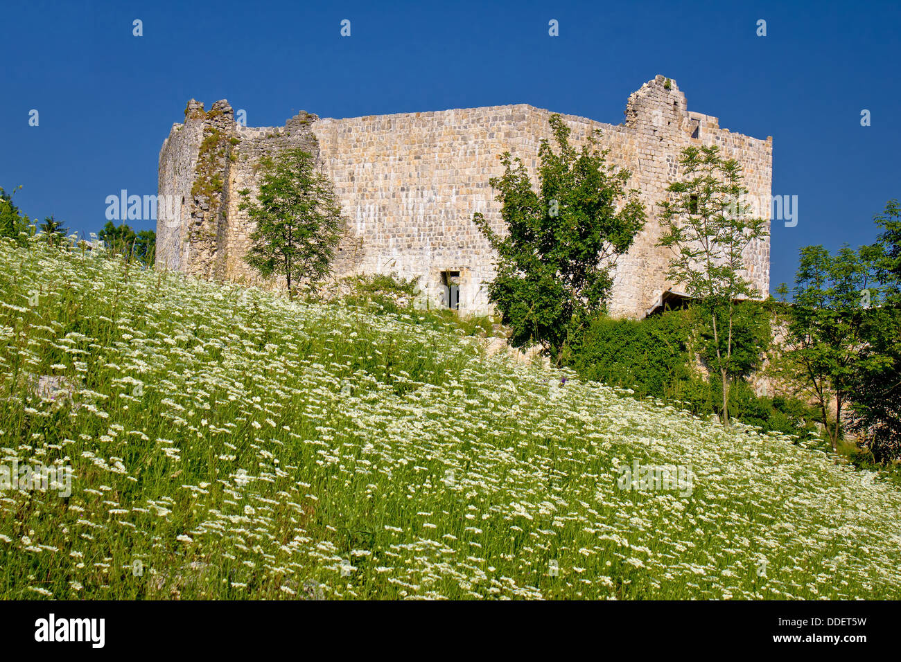 Slunj fortezza vecchia rovina nel verde della natura, Croazia Foto Stock