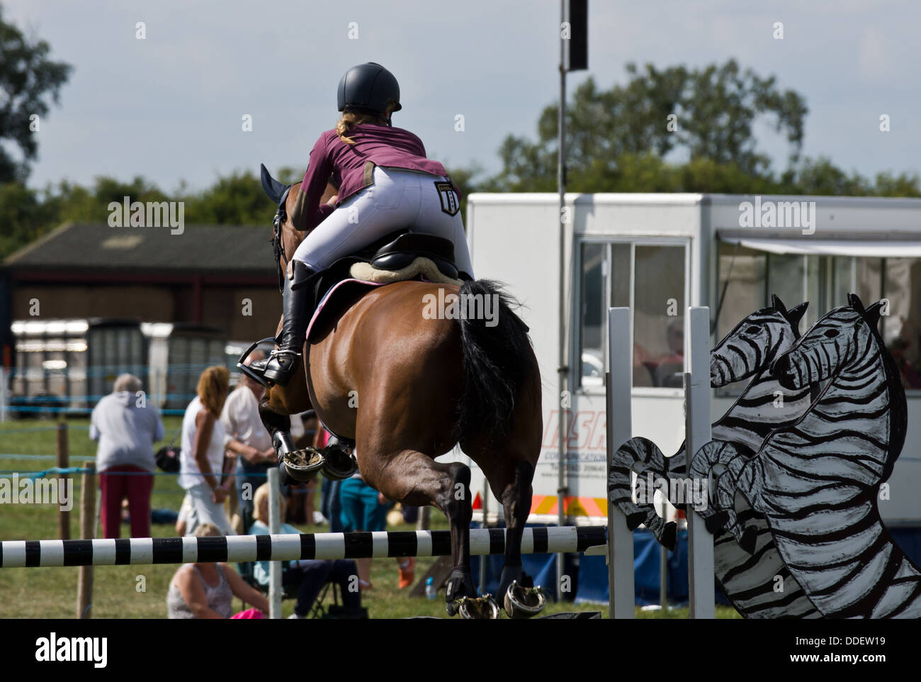 Equestrian horse show jumping a Weedon Buck's County show. Hind fine di un cavallo e cavaliere saltando una recinzione. Foto Stock