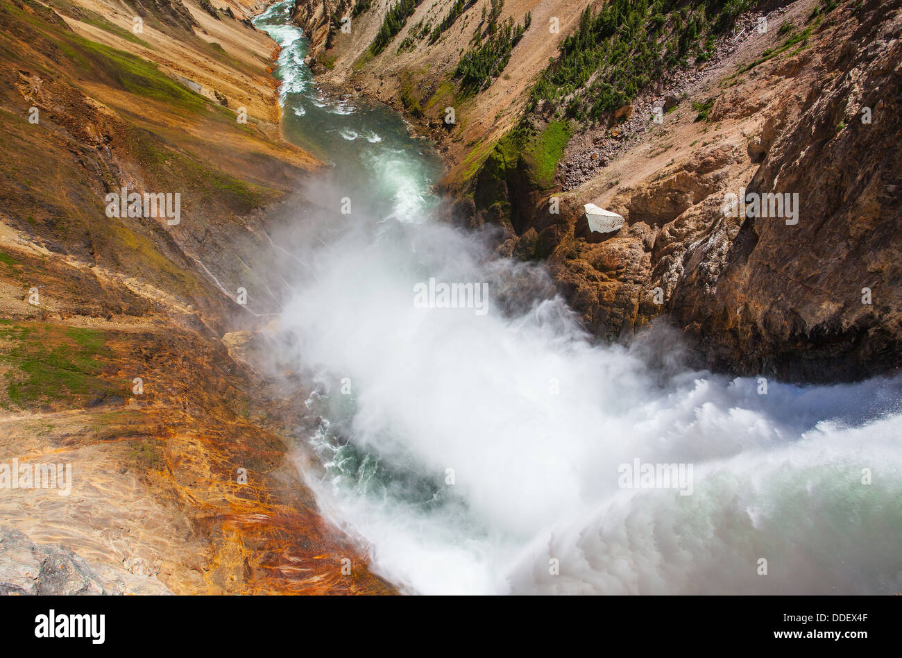 Le cascate Inferiori sul fiume Yellowstone ( il Parco Nazionale di Yellowstone, Wyoming) Foto Stock