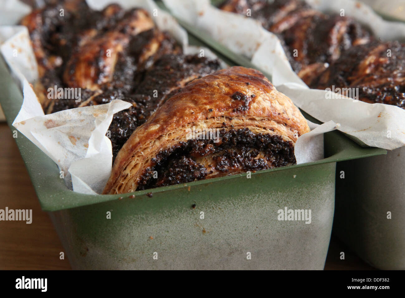 Pane appena sfornato, cioccolato e semi di papavero torta di lievito Foto Stock