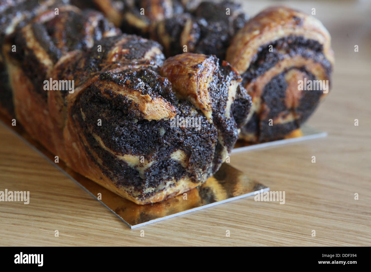 Pane appena sfornato, cioccolato e semi di papavero torta di lievito Foto Stock