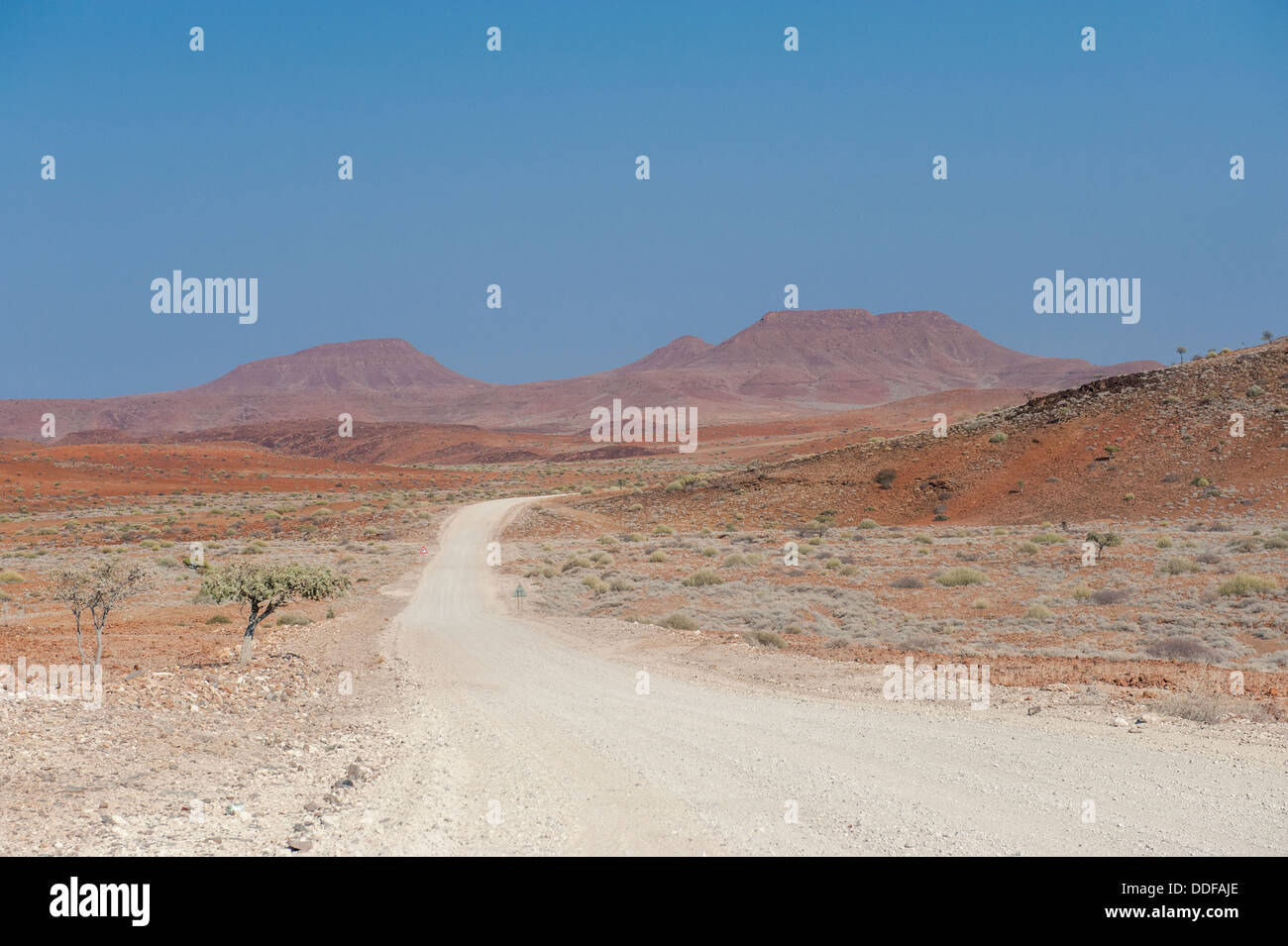 Ampia, dritta strada di ghiaia nel paesaggio secco, Regione di Kunene, Namibia Foto Stock