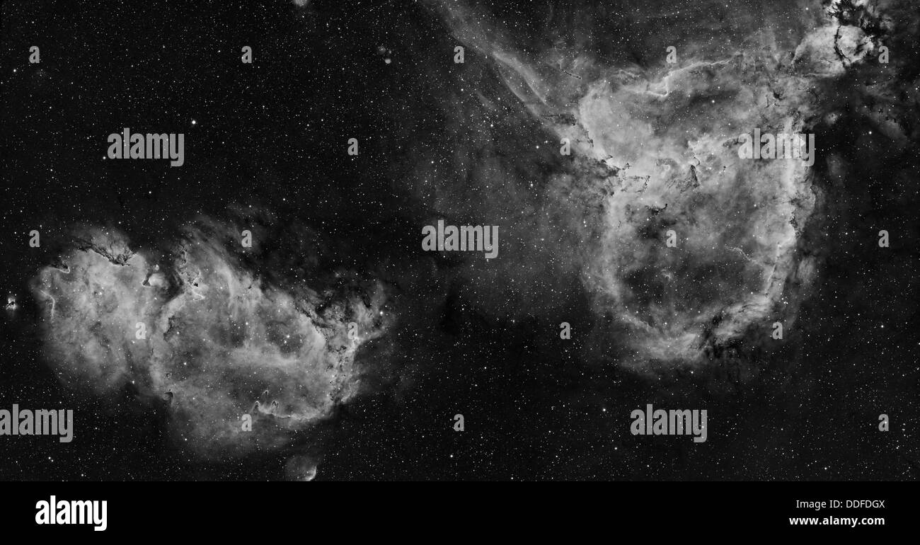 Anima e cuore nebulosa in mono Foto Stock