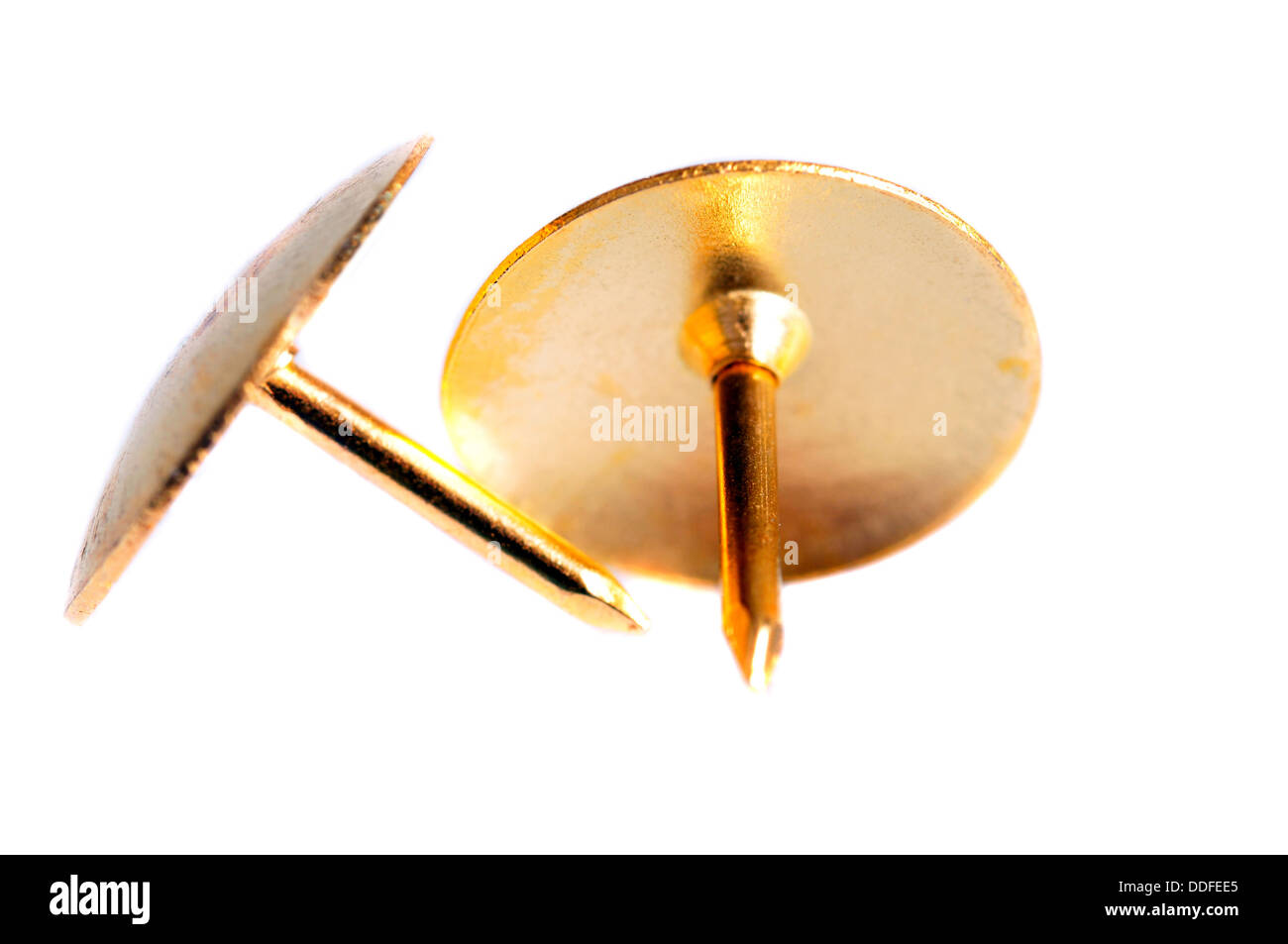Due pin dorati chiodini isolati su sfondo bianco Foto Stock