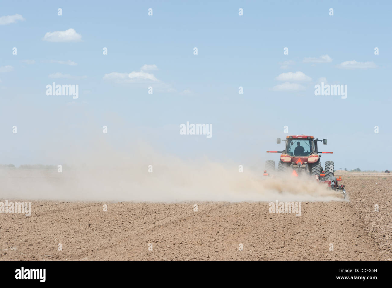 Aratura del trattore nel campo , Maricopa Arizona Foto Stock