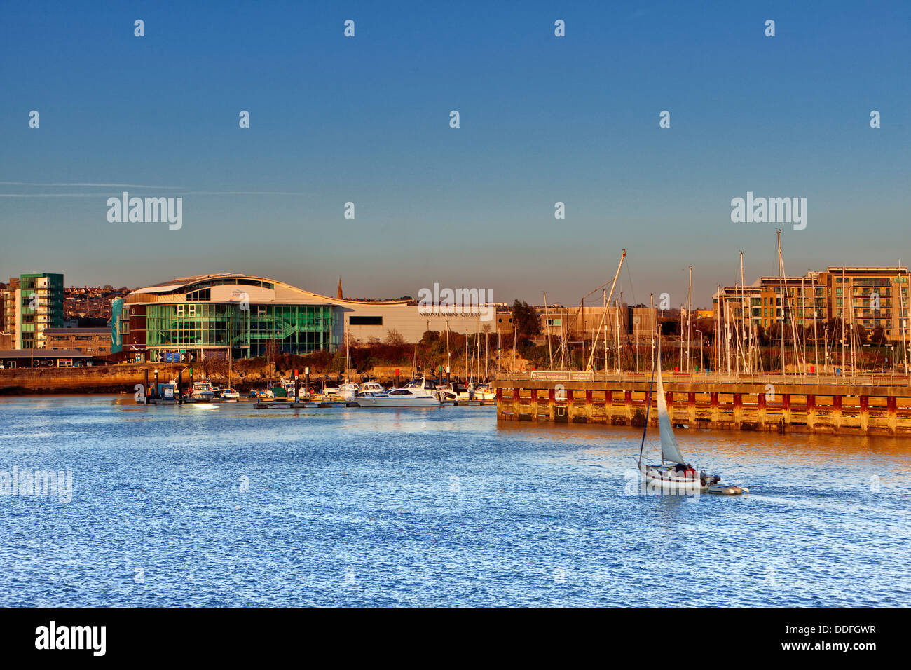 National Marine Aquarium, Plymouth Foto Stock