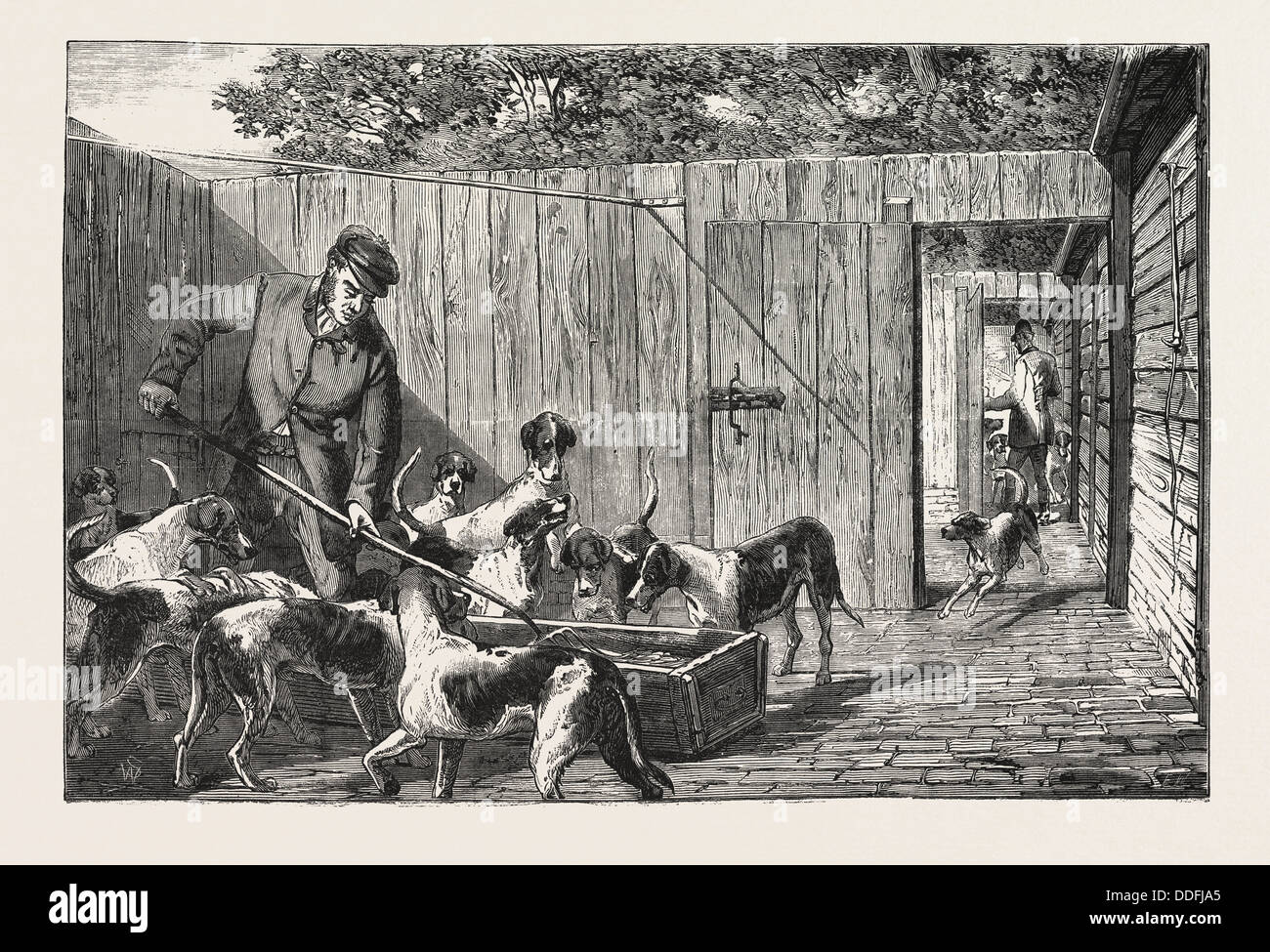 La caccia alla volpe, il momento della colazione al canile, caccia, incisione 1876, Regno Unito, Gran Bretagna British, Europa, Regno Unito, Gran Bretagna Foto Stock