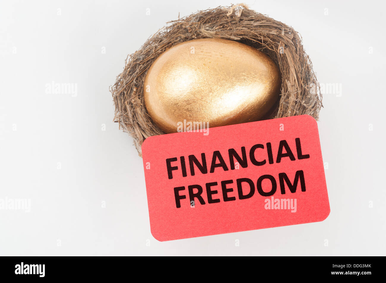 La libertà finanziaria concetto con golden egg nel nido di uccelli Foto Stock