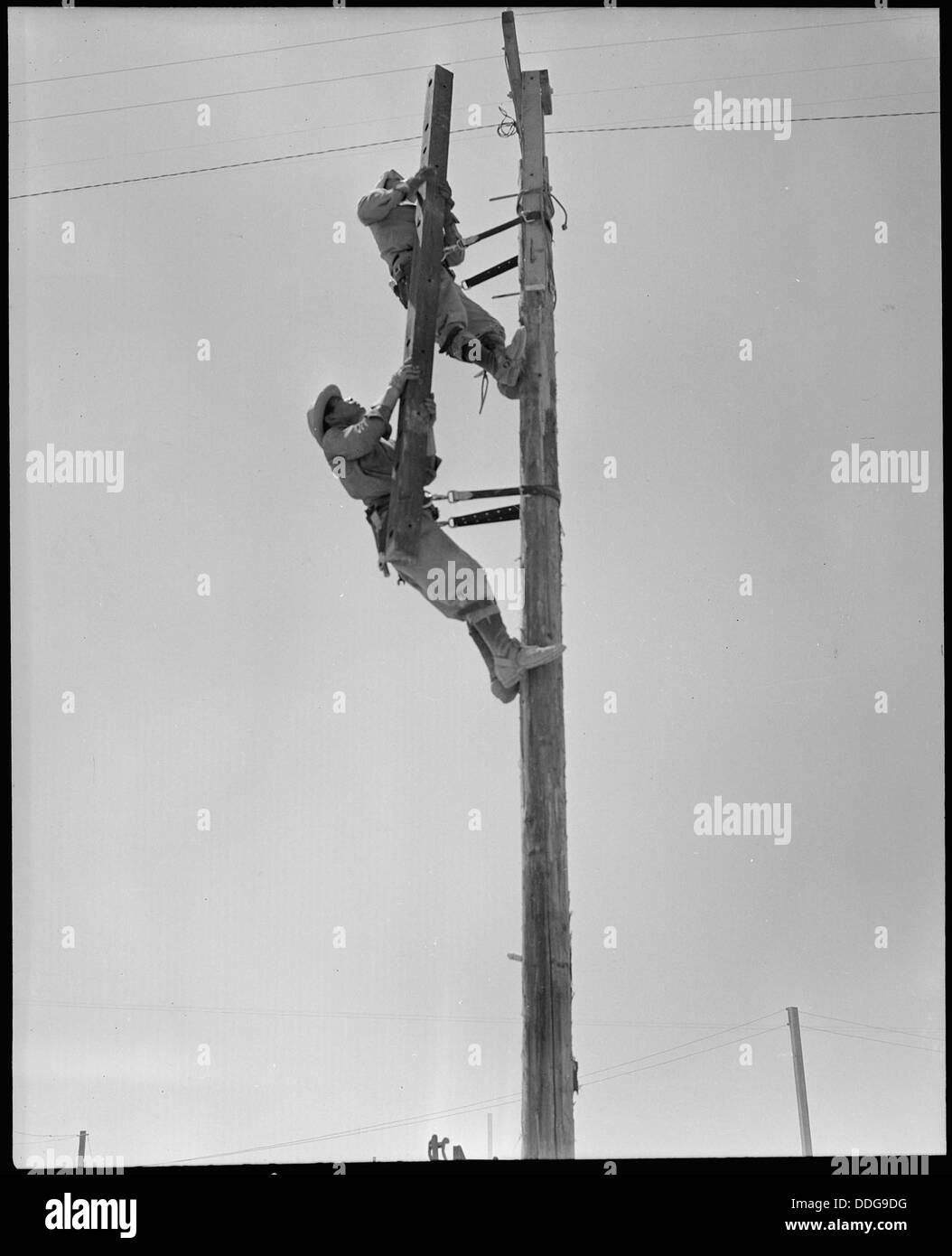 A Poston, Arizona, un equipaggio telefonico del Civilian Conservation Corps lavora per stabilire comunicazioni telefoniche, contribuendo alle infrastrutture durante la grande depressione. Foto Stock