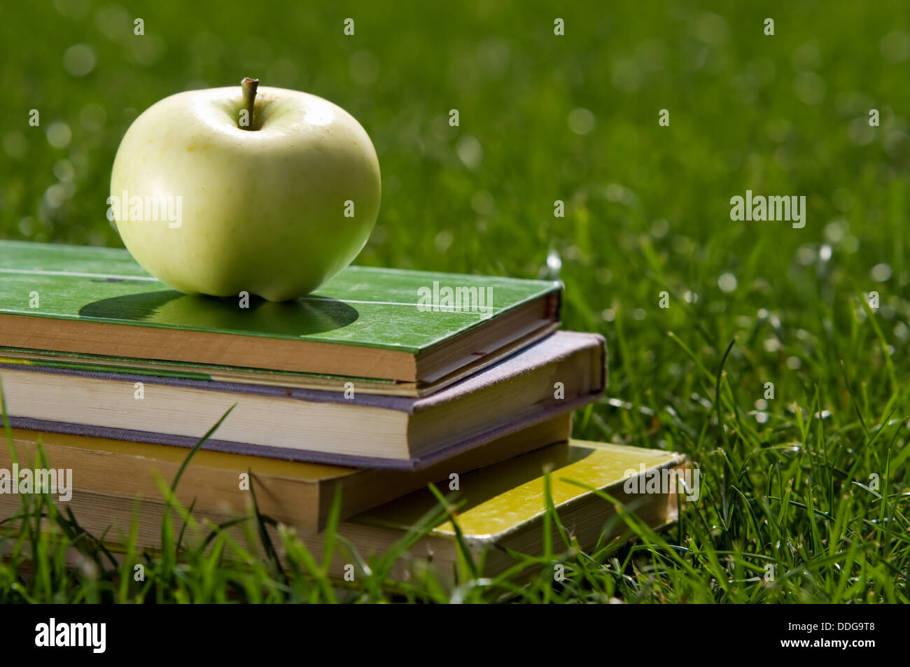 Concetto di educazione. Mela su una pila di libri di scuola Foto Stock