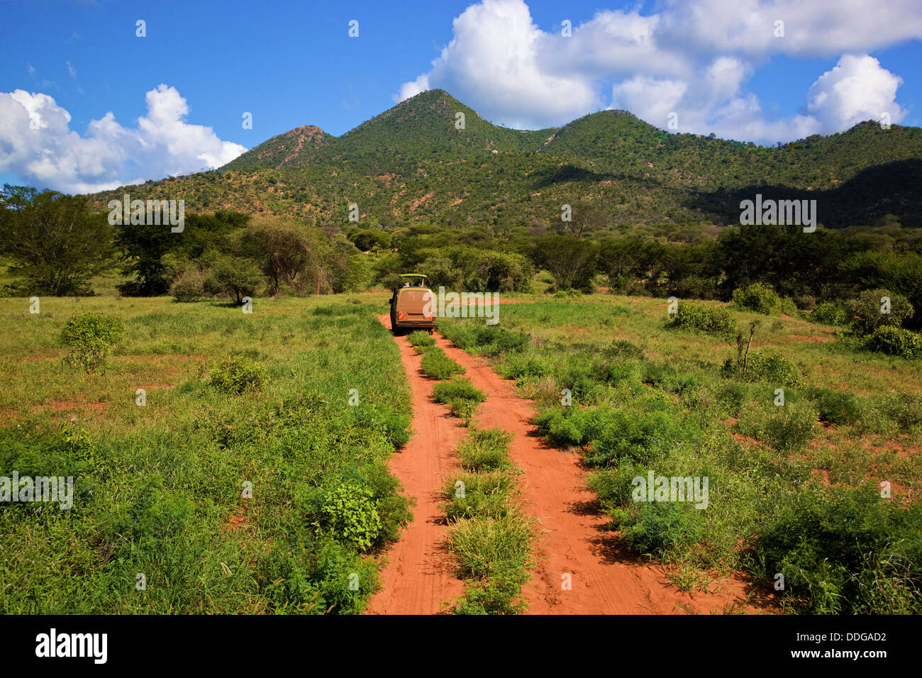 Guida lungo una strada sterrata attraverso il Tsavo West National Park, Kenya, Africa su safari Foto Stock