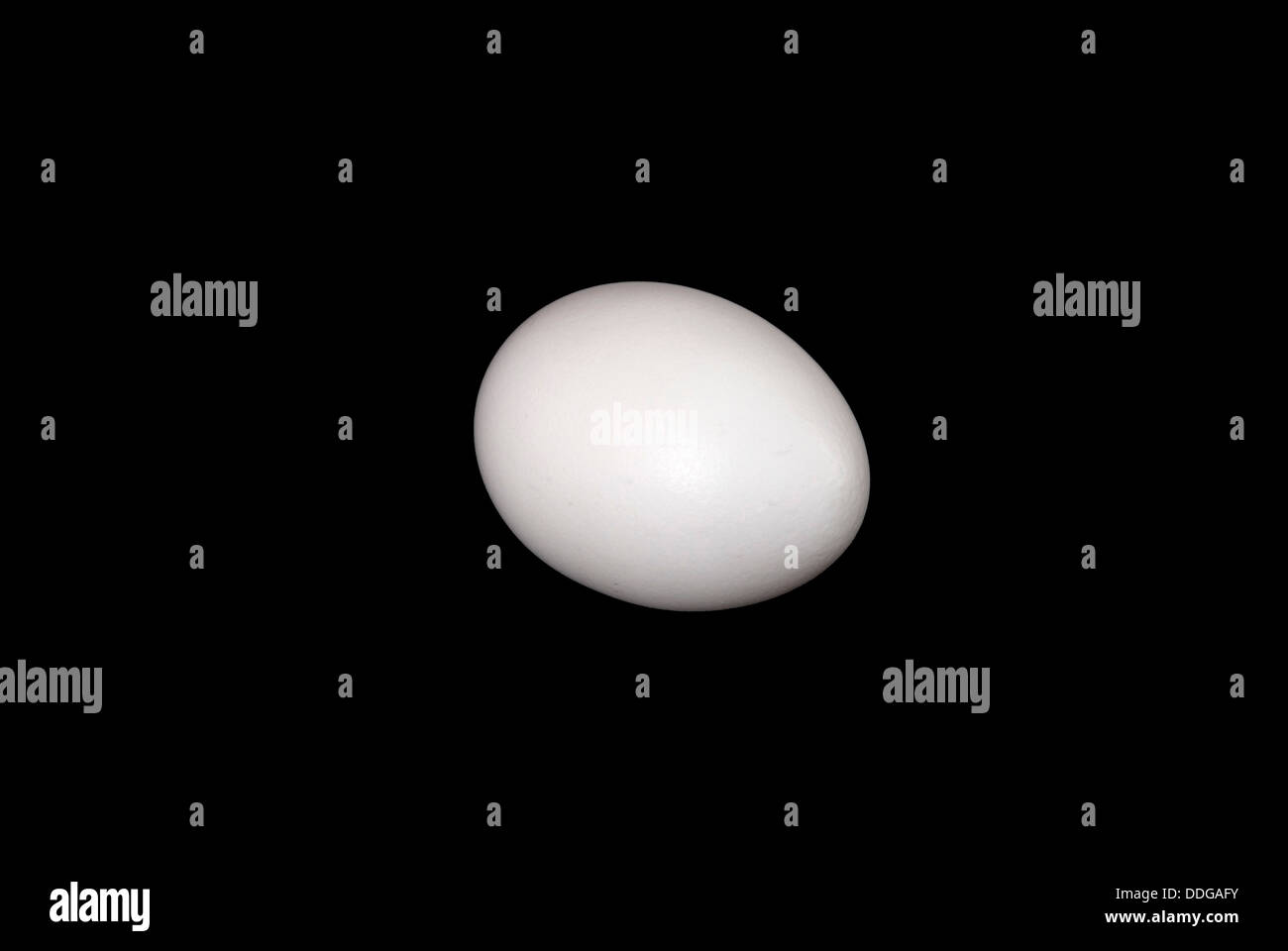 uovo bianco Foto Stock