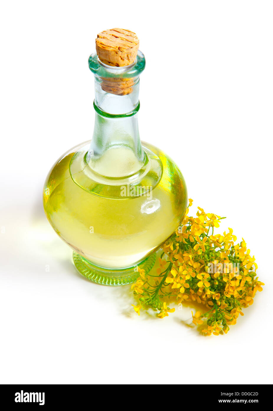 Fresca olio di colza in una bottiglia Foto Stock Fresca olio di colza in una bottiglia Foto Stock